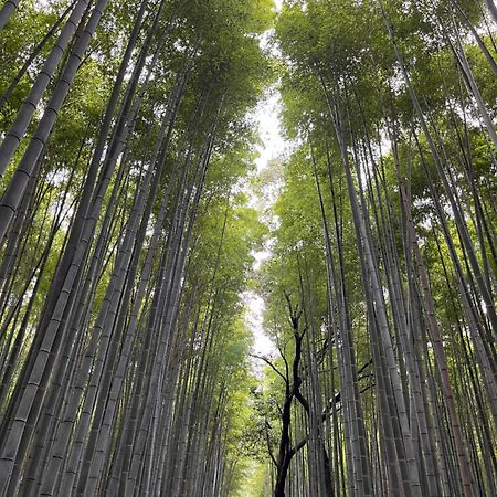 嵐山 天龍の宿 駐車無料 一棟貸切 最大5人 Dragon Legend Arashiyama Central Private Rare Modern Villa Free Parking Max 5Ppl Shimo-saga Extérieur photo