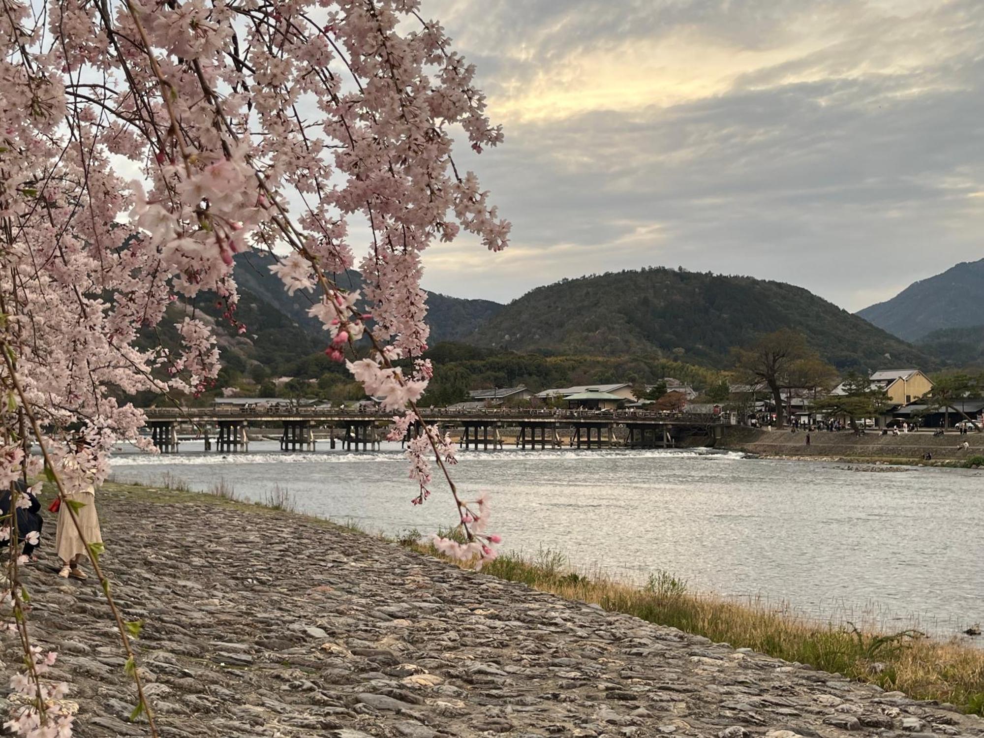 嵐山 天龍の宿 駐車無料 一棟貸切 最大5人 Dragon Legend Arashiyama Central Private Rare Modern Villa Free Parking Max 5Ppl Shimo-saga Extérieur photo